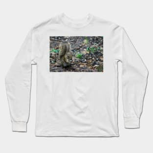 obs squirrel Long Sleeve T-Shirt